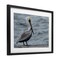 Stupell Industries Pelican Watch Photography Framed Print Under Glass, design by Nathan Larson